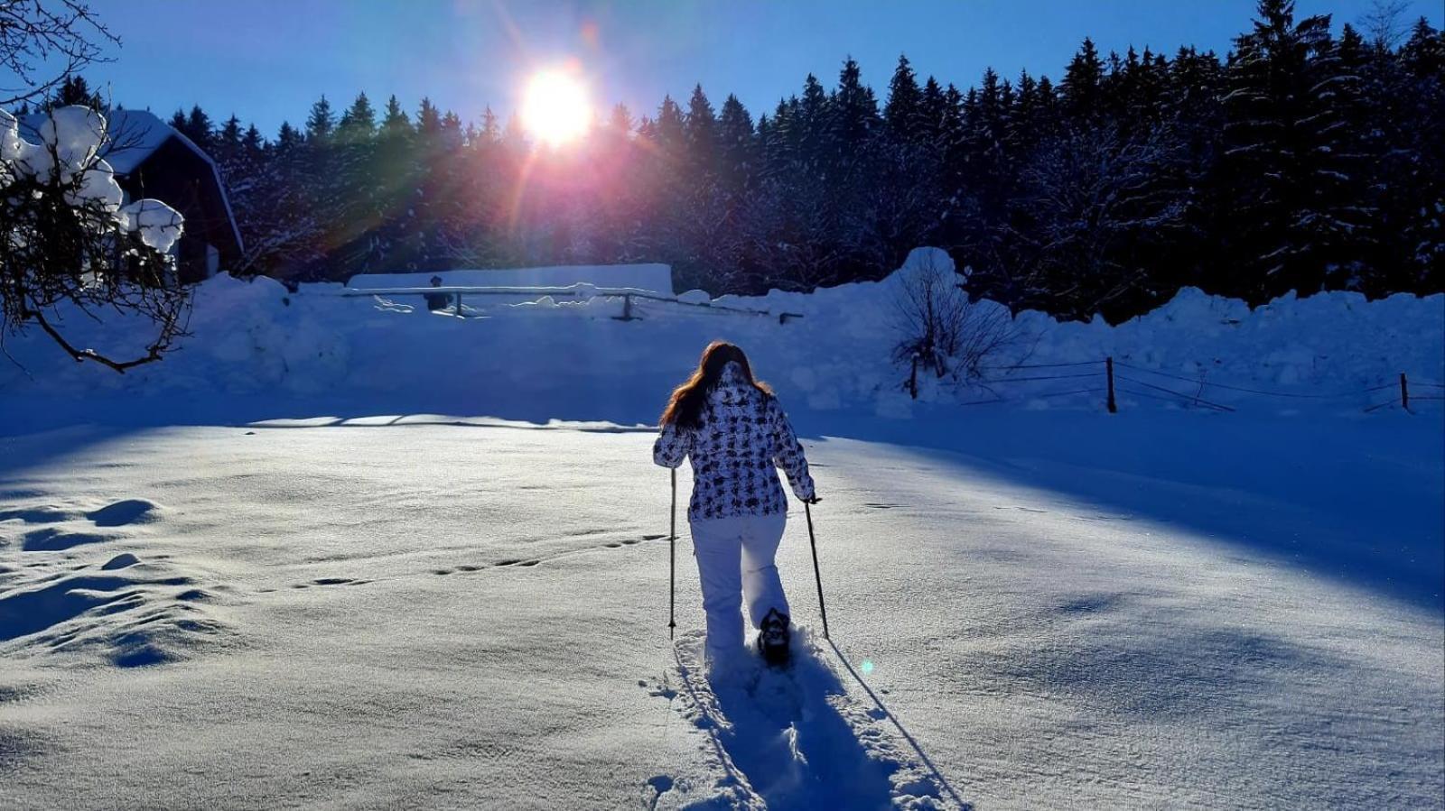 Kantor Village Am Millstaetter See - Boutique-Chalets Und Lodges Millstatt Luaran gambar
