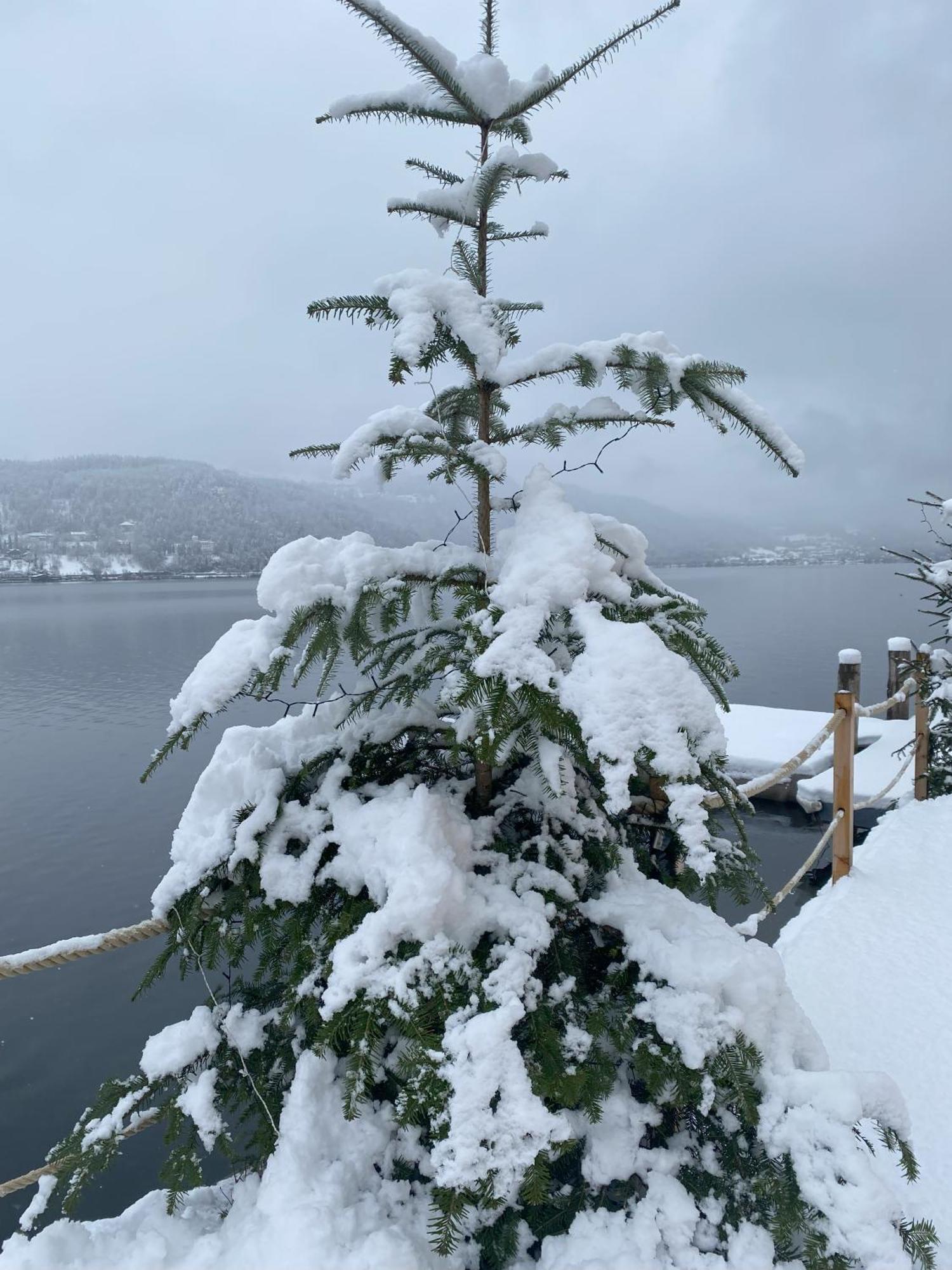 Kantor Village Am Millstaetter See - Boutique-Chalets Und Lodges Millstatt Luaran gambar